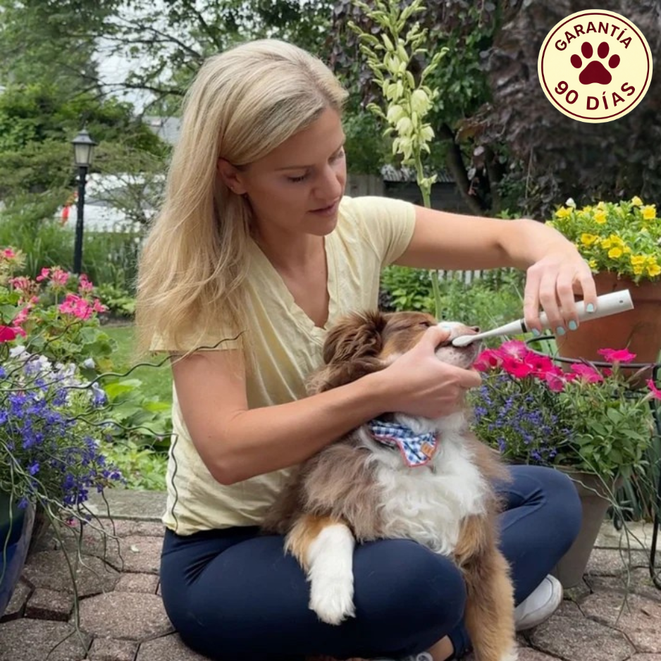 FreshSmile - Eliminador de placa y sarro para perros