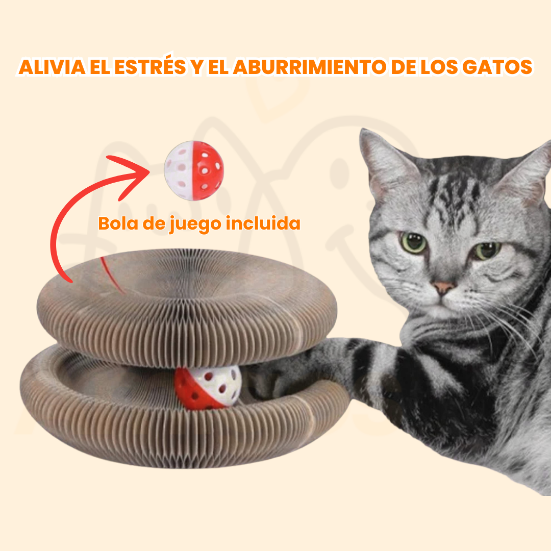 SuperWhiskerz®