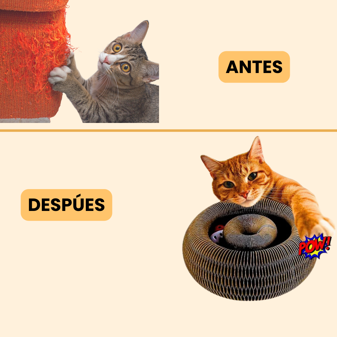 SuperWhiskerz®