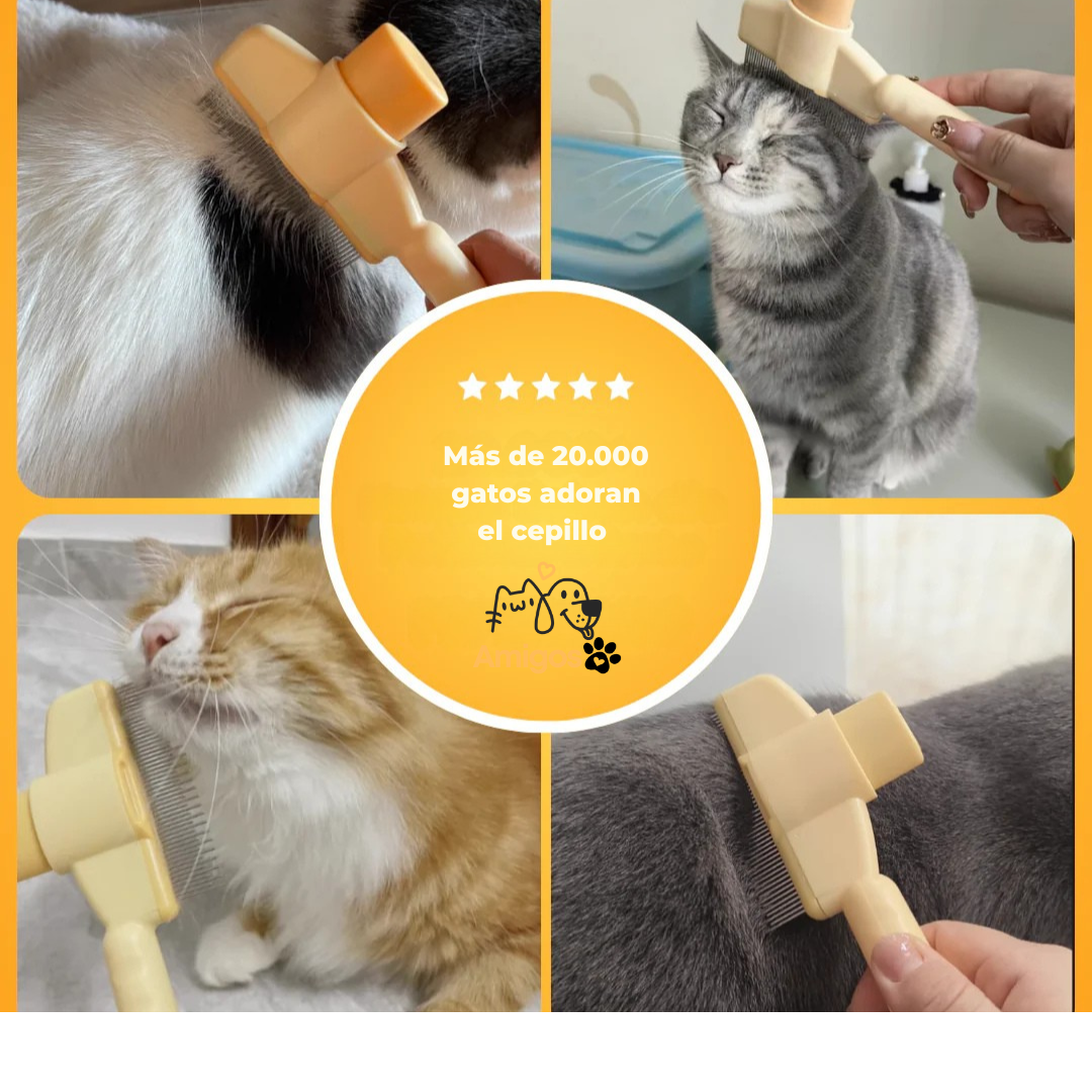Cepillo CepiZen® -Bestseller