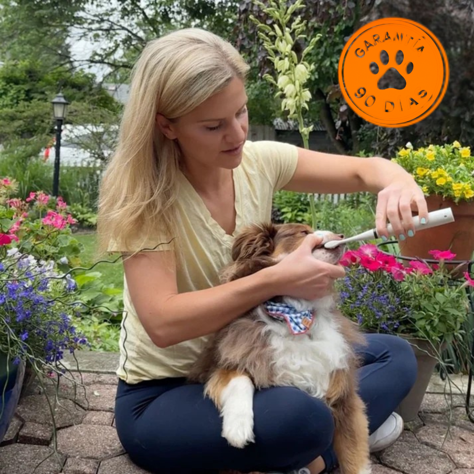 FreshSmile - Eliminador de placa y sarro para perros