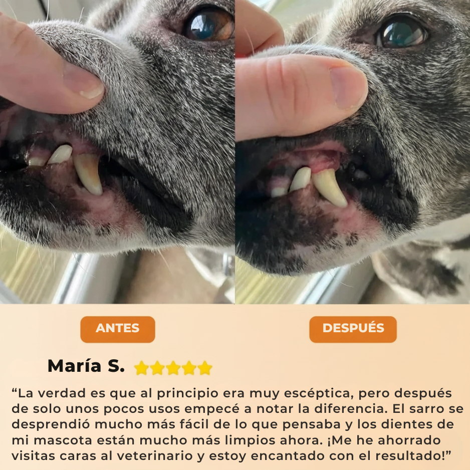 FreshSmile - Eliminador de placa y sarro para perros
