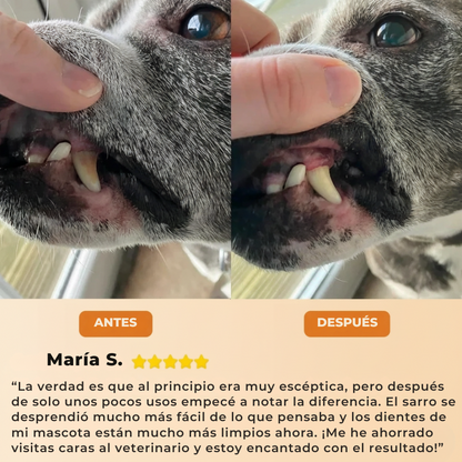 FreshSmile - Eliminador de placa y sarro para perros