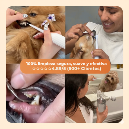 FreshSmile - Eliminador de placa y sarro para perros