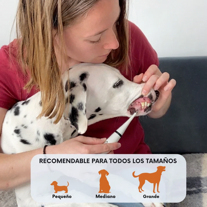 FreshSmile - Eliminador de placa y sarro para perros