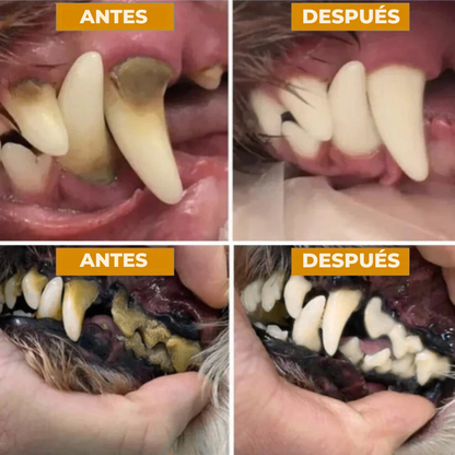 FreshSmile - Eliminador de placa y sarro para perros