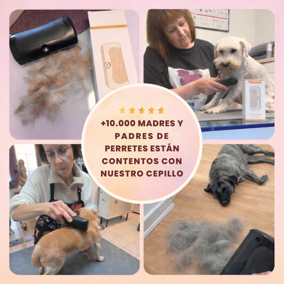 Cepillo PeluCare® Top Ventas