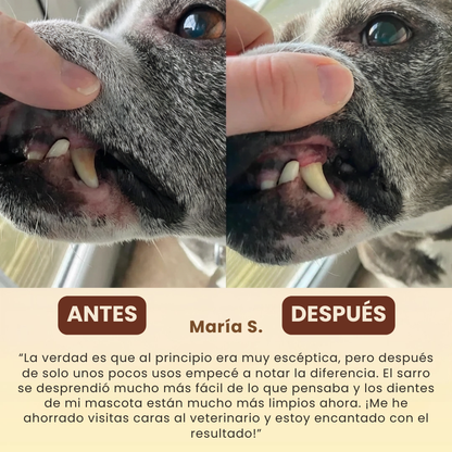 FreshSmile - Eliminador de placa y sarro para perros