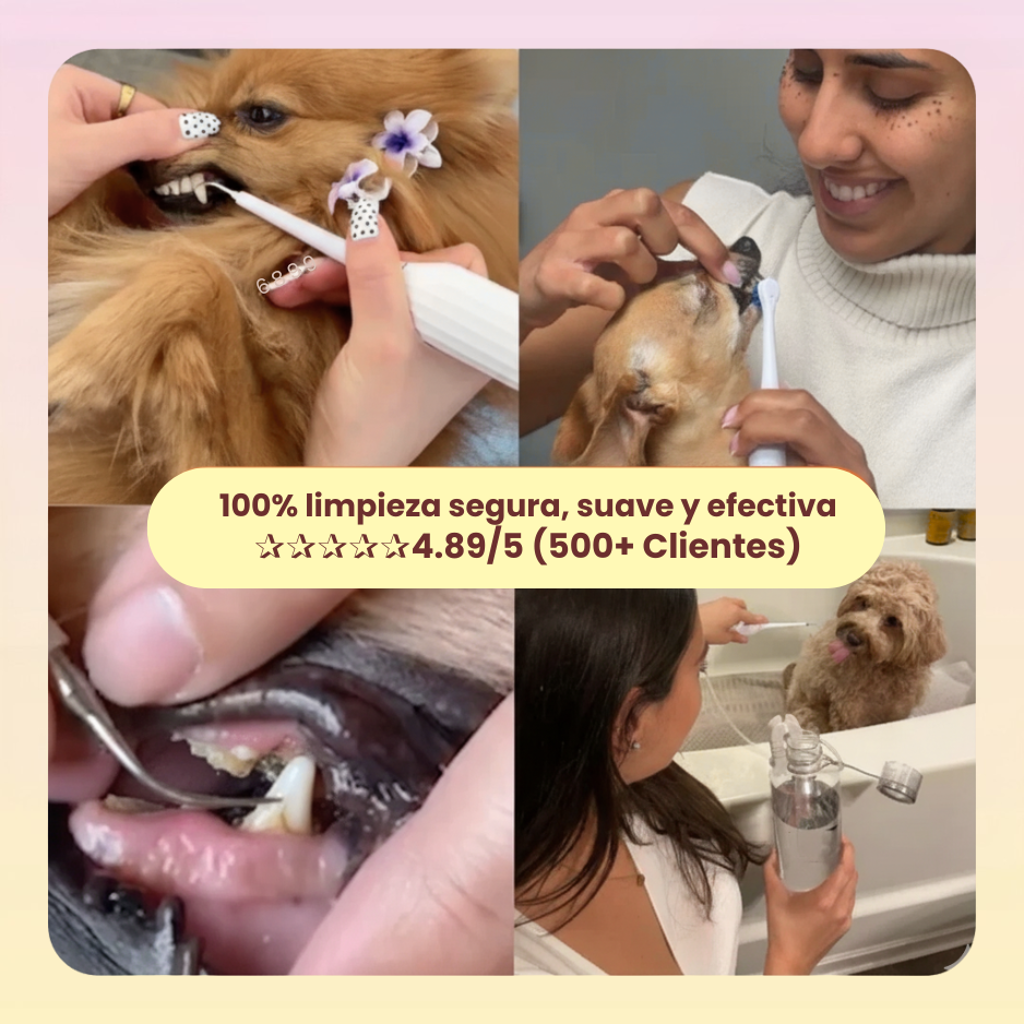 FreshSmile - Eliminador de placa y sarro para perros