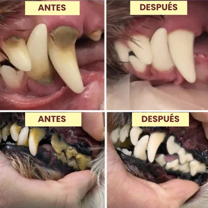 FreshSmile - Eliminador de placa y sarro para perros