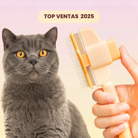 Cepillo CepiZen® -Bestseller