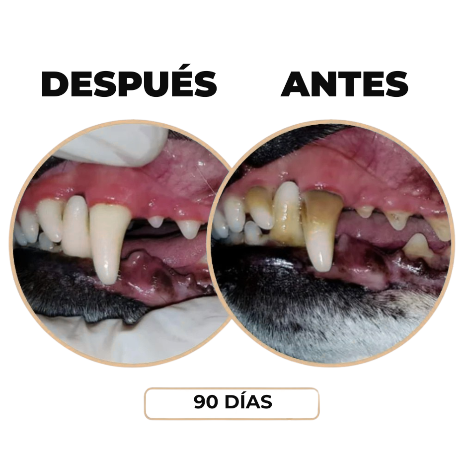 Spray Dental: Elimina el mal aliento, sarro y placa de tu perro