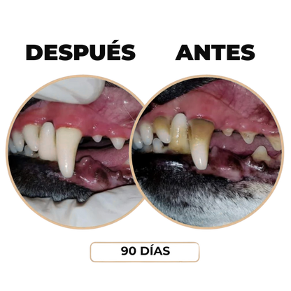 Spray Dental: Elimina el mal aliento, sarro y placa de tu perro