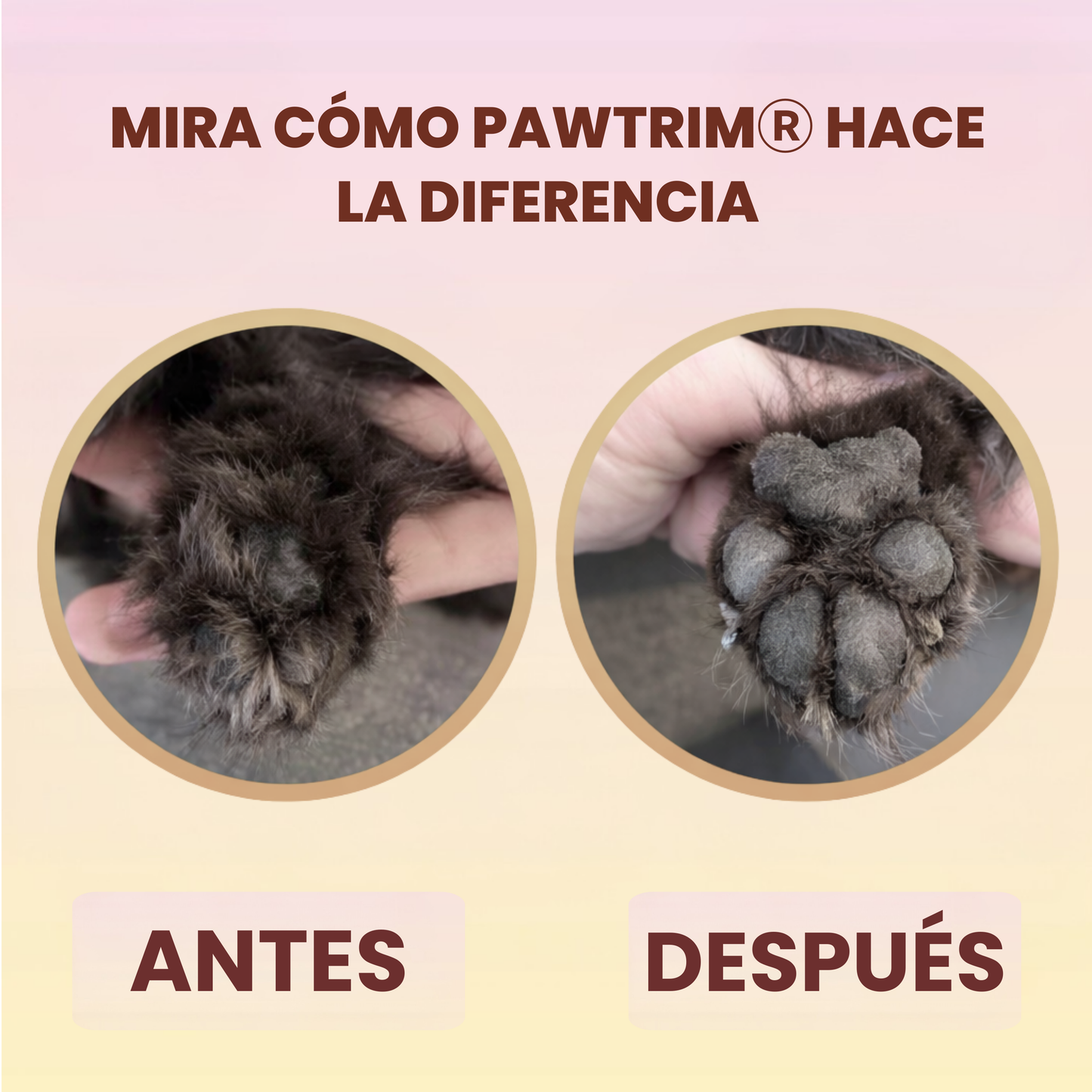 PawTrim Pro®: Cuidado de las patas y zonas sensibles