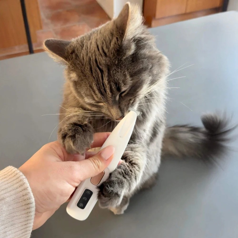 Le  doi un 8/10 es lo que esperaba