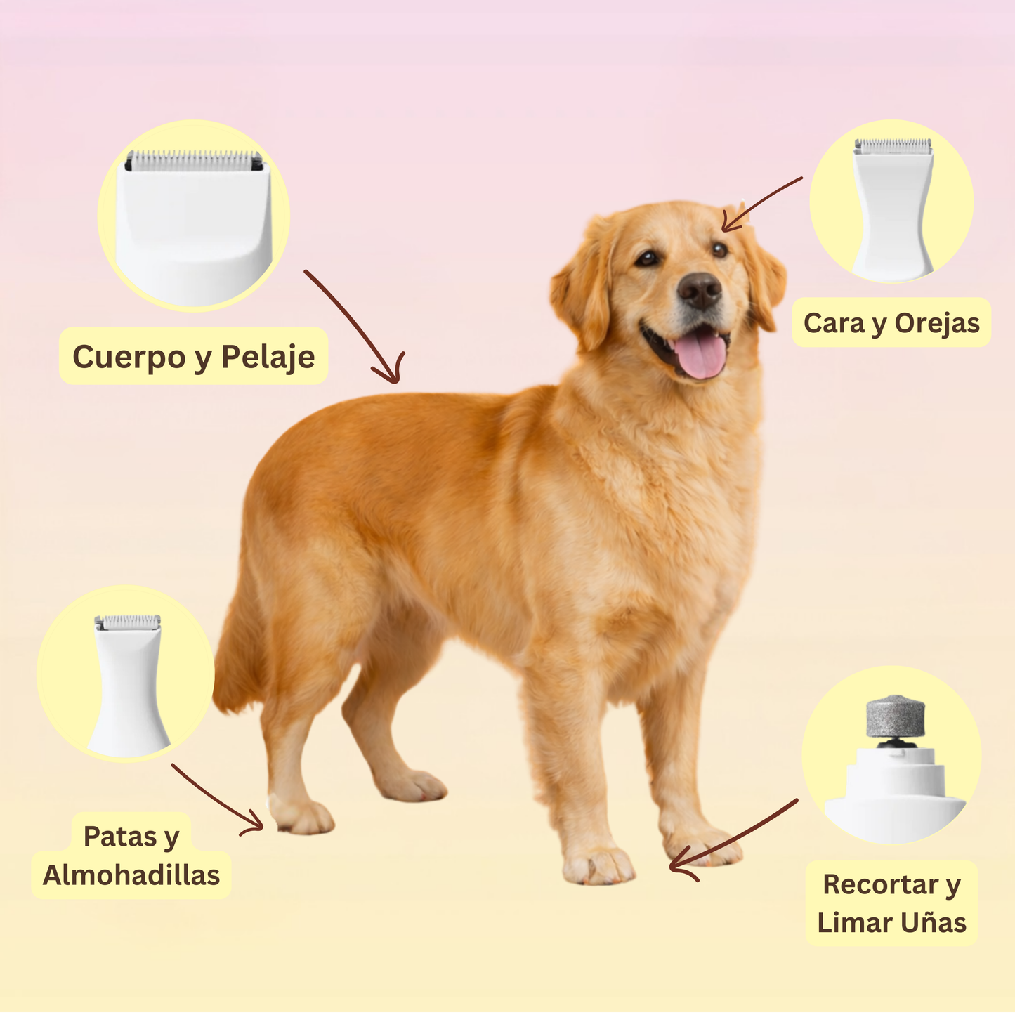 Multi-Trim™ Pro: Recorta el pelo y las uñas de tu perro en casa