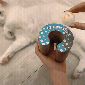 SuperWhiskerz®