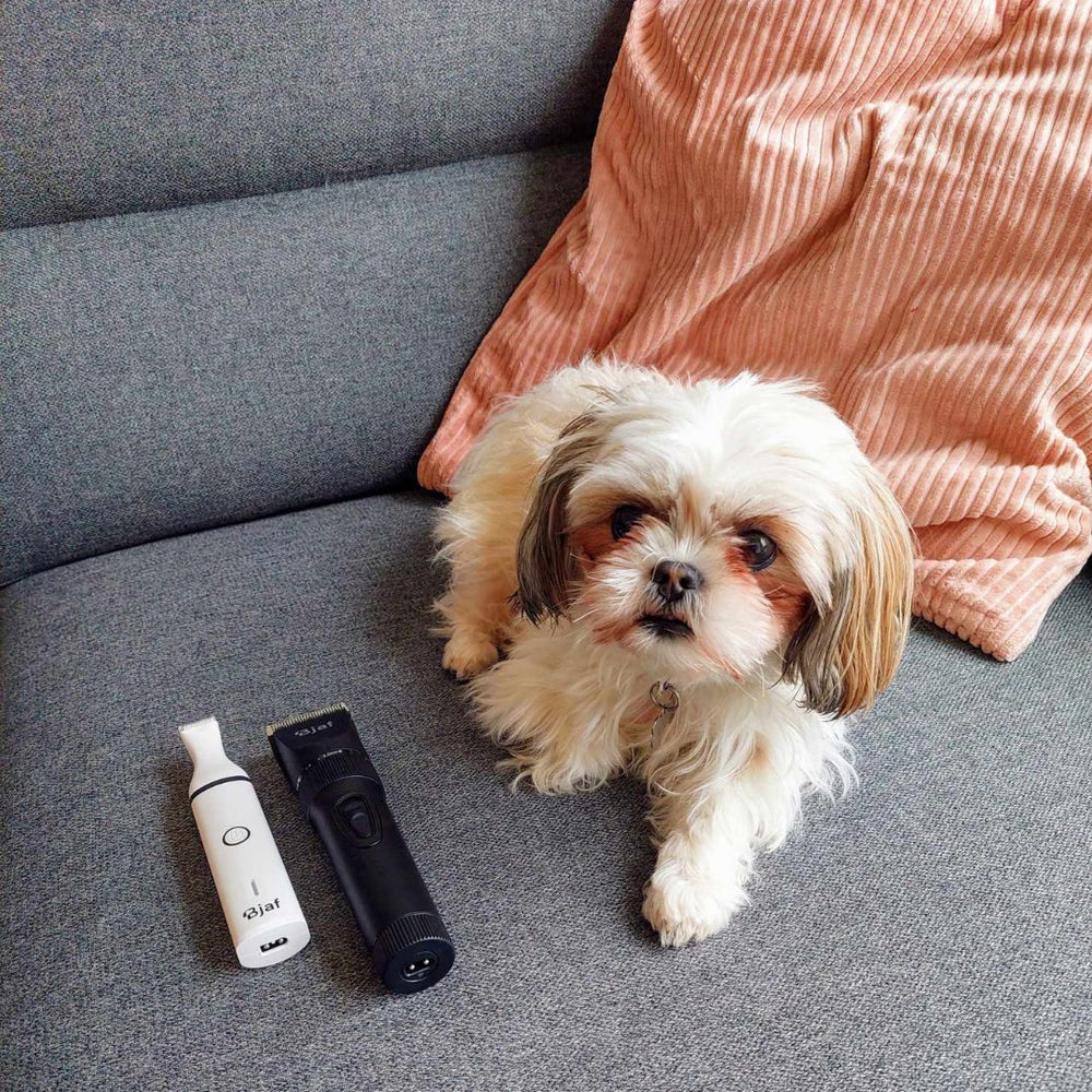 Mi chiquitín precioso