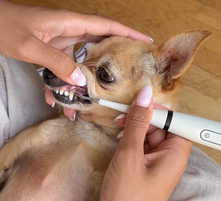 Al principio creía que era imposible...