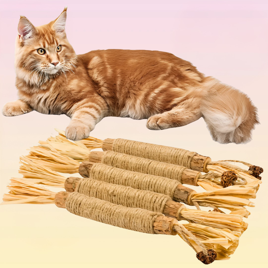 Dental Stick: Cuidado Gatos