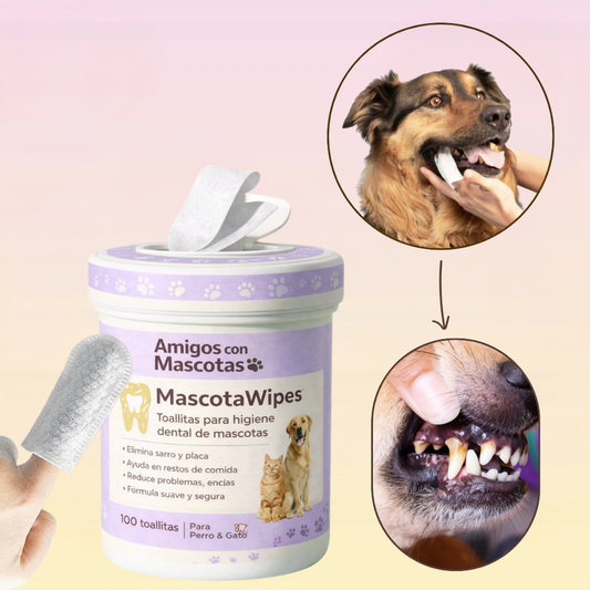 Toothwipes- Elimina el sarro y placa