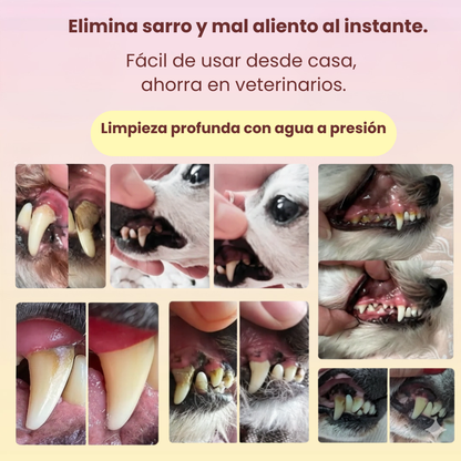 FreshSmile - Eliminador de placa y sarro para perros