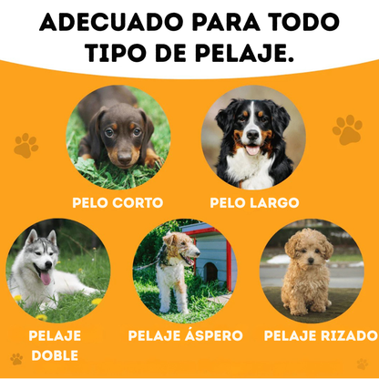 Cepillo PeluCare® Bestseller