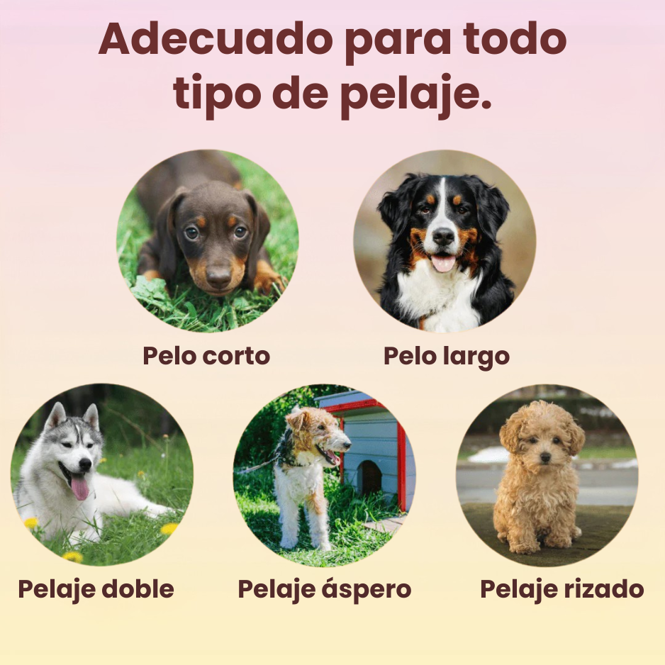 Cepillo PeluCare® Top Ventas