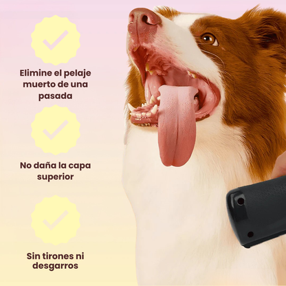 Cepillo PeluCare® Top Ventas