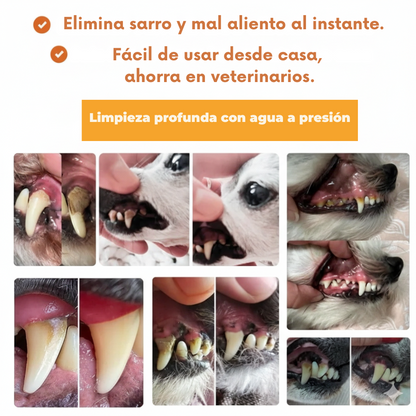 FreshSmile - Eliminador de placa y sarro para perros