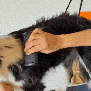 Cepillo PeluCare® Top Ventas