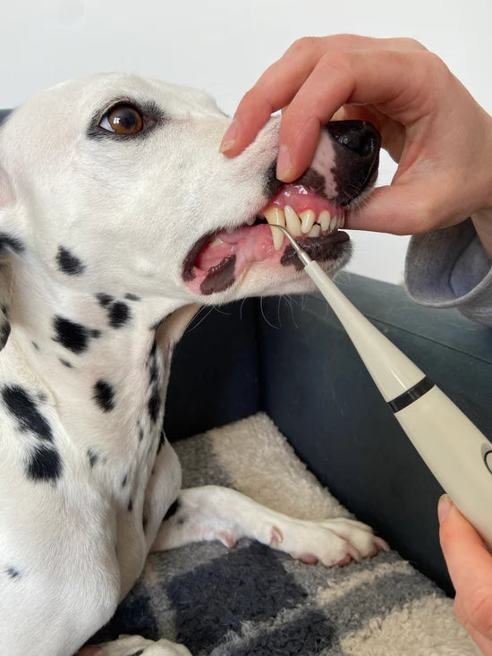 ¡Por fin, una solución que funciona!