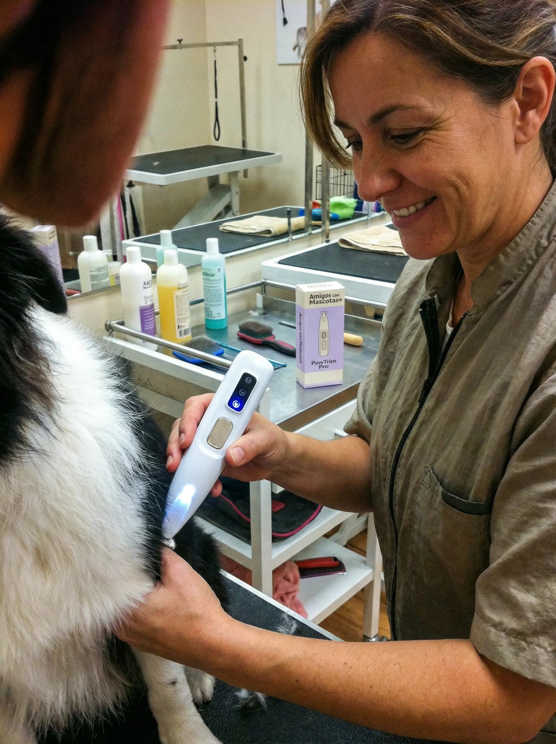 Dr. Carmen López Vega