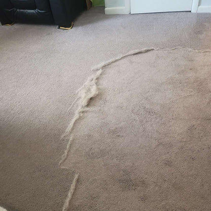 Quitapelo Cleaner-XTRA