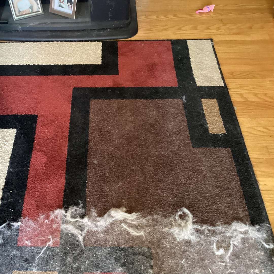 Quitapelo-CLEANER PRO